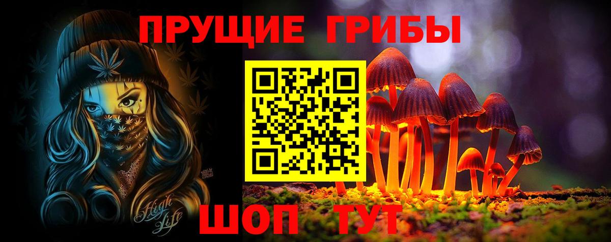 Краснодар  Псилоцибиновые грибы Psilocybe  Галлюциногенные грибы Cubensis  Вход с VPN 